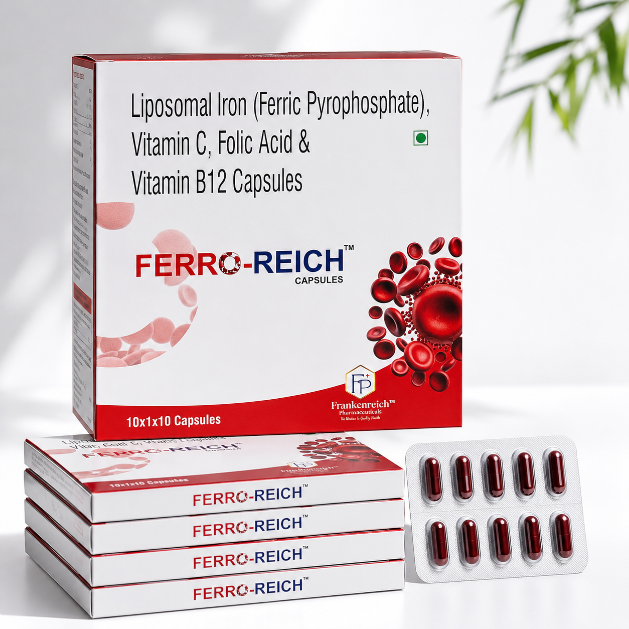 FERRO-REICH